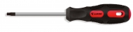 Torx Screwdriver