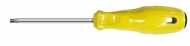 Torx Screwdriver