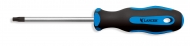 Torx Screwdriver