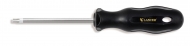 Torx Screwdriver