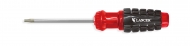 Torx Screwdriver