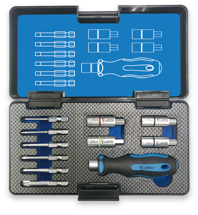 11pcs Interchangeable Torque Screwdriver Set