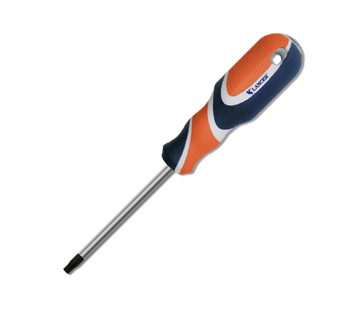 Torx Screwdriver