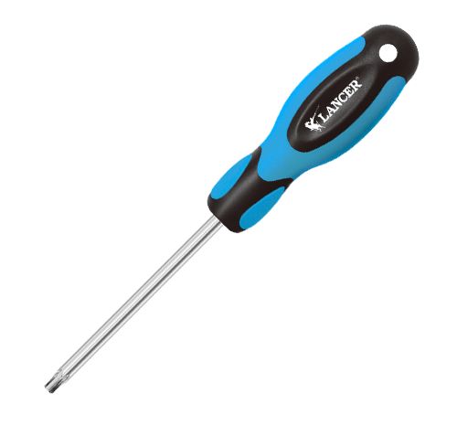 Torx Screwdriver